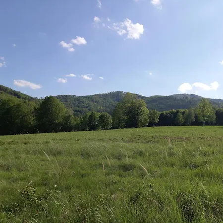 Διαμέρισμα Pod Debowcem *