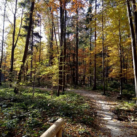 Διαμέρισμα Pod Debowcem Μπιέλσκο-Μπιάλα