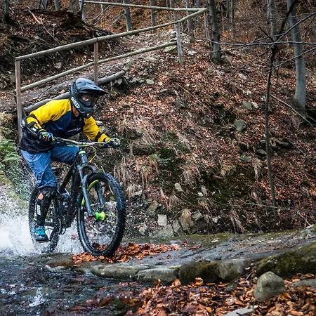 Pod Debowcem * Bielsko-Biała