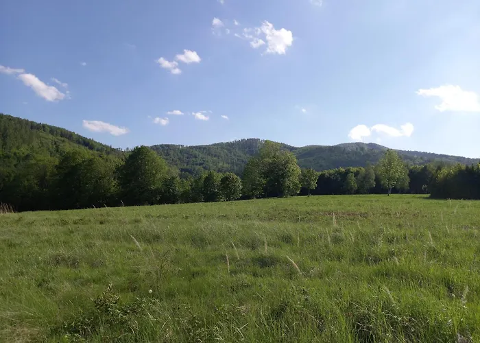 Apartmán Pod Debowcem *