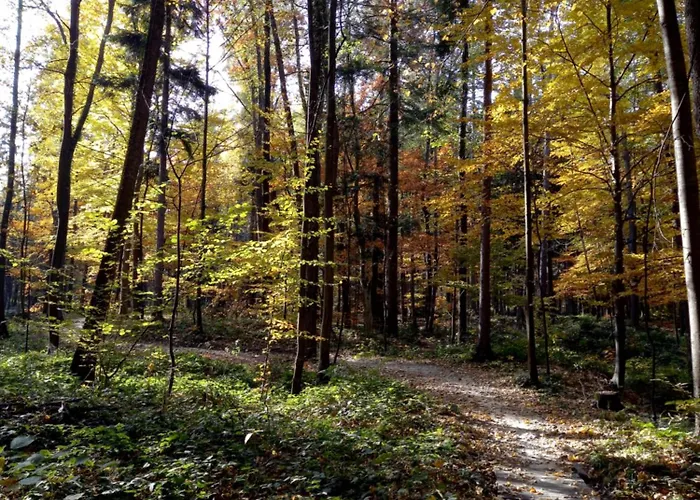 Apartmán Pod Debowcem Bílsko-Bělá